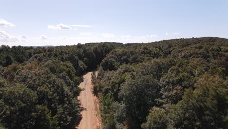 bosque naturaleza vista aerea 2