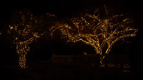 un pequeño puente en un parque con luces navideñas en los árboles y gente caminando
