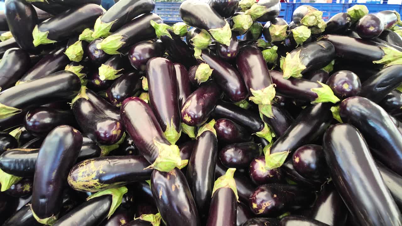 신선한 양배추 어리