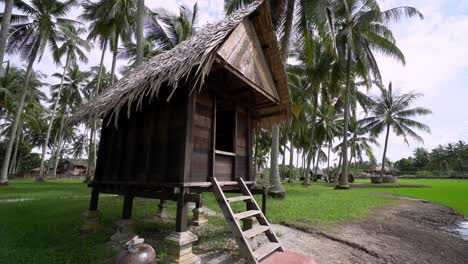 tilt up kampung house with coconut trees.