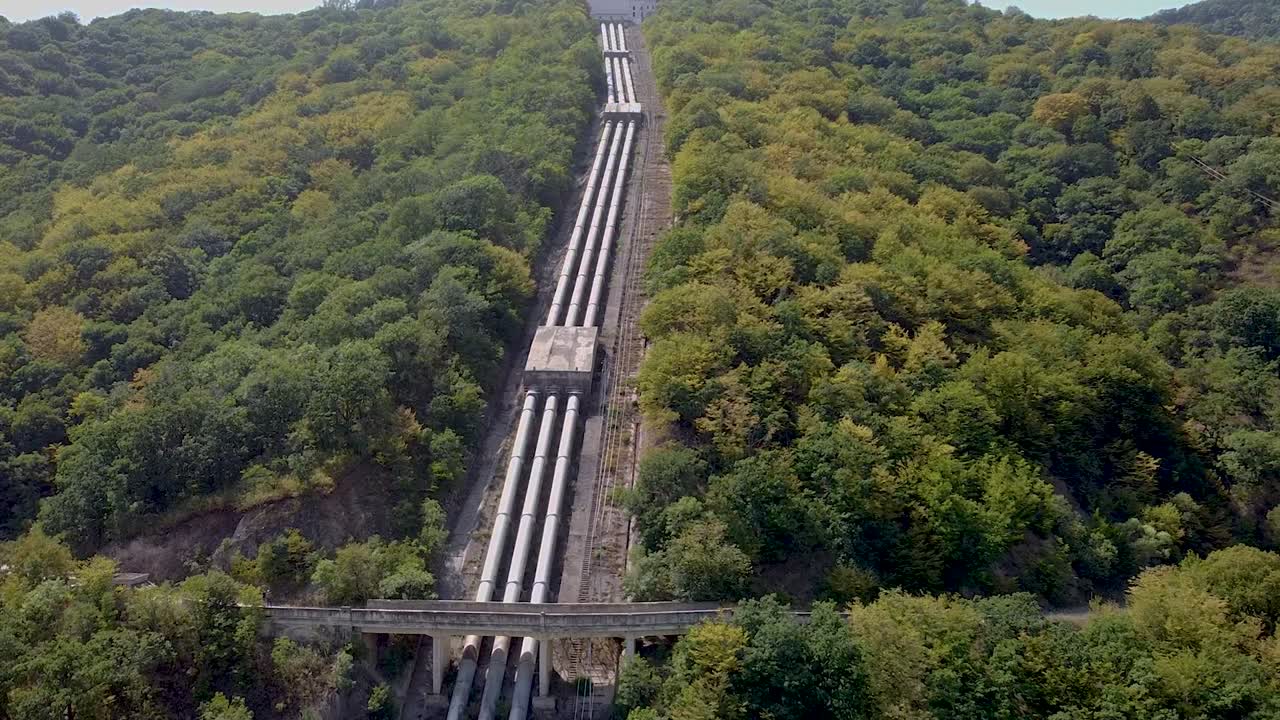 Large pipelines stretch through a dense forest, showcasing engineering amidst nature. This area combines industry and natural beauty, creating a unique view of infrastructure