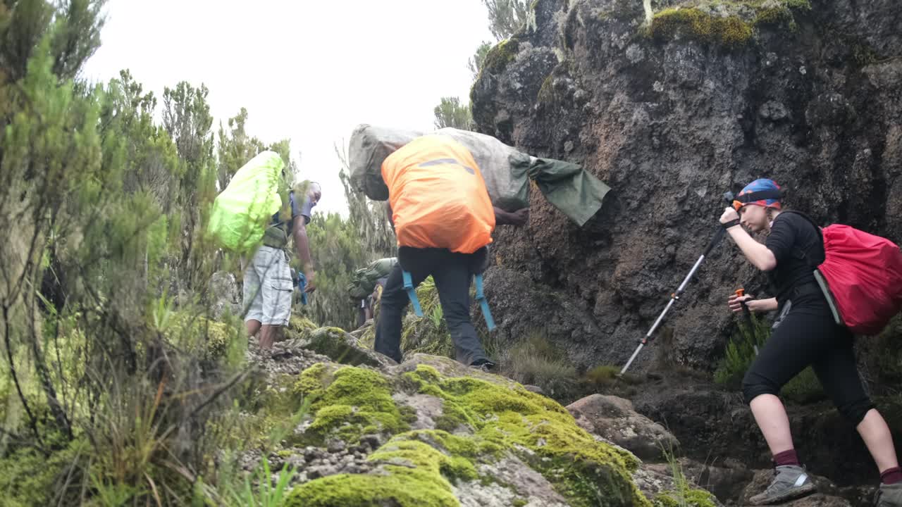 Hikers ascend to the Shira Camp with a guide, a group of porters carry heavy equipment on their heads