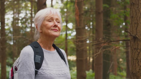 Aktive-ältere-Frau-Im-Ruhestand,-Die-Mit-Rucksack-Durch-Die-Waldlandschaft-Spaziert