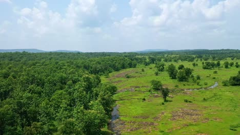 Drone-Ascendiendo-En-Un-Vasto-Paisaje-De-Arbustos-De-árboles-Durante-El-Verano