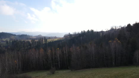 Ein-Vorbeiflug-Vom-Boden-über-Die-Baumwipfel,-Der-Im-Hintergrund-Eine-Hügelige-Landschaft-Enthüllt