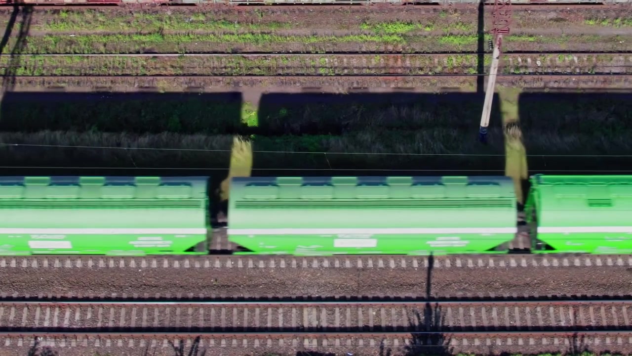 Train moves on tracks through green bushes and grass on a sunny day