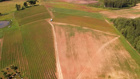 Blick-Auf-Das-Erdbeerfeld-Von-Oben