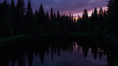 silhouette of forest and pond at sunset