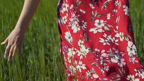 Chica-En-Cámara-Lenta-De-Primer-Plano-Con-Vestido-Rojo-Caminando-Por-El-Campo-Y-Tocando-La-Espiguilla,-El-Vestido-Ondea-En-El-Viento