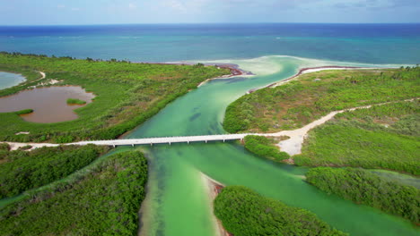 tulum sian kaʼan reserve a biosphere aerial view of a wooden bridge connecting mangroves forest inside the natural park with caribbean sea in mexico quintana roo