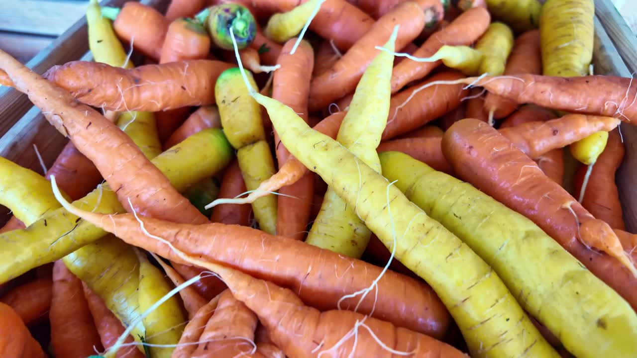 Close-up view of fresh organic carrots of different colors in crates at market display