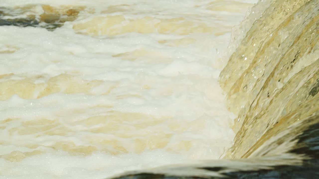 Springtime vimba jumps through frothy waterfall currents in slow motion flight