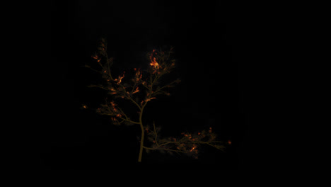 árbol en llamas