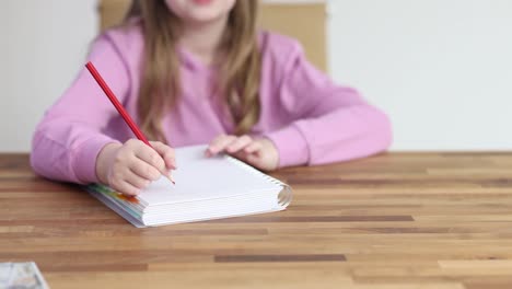 child writing in a notebook with a red pencil