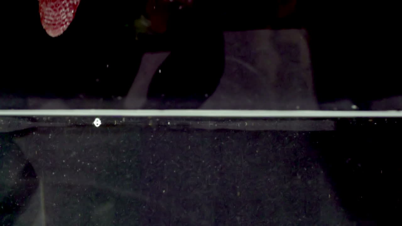 슬로우 모션 딸기 03