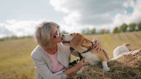 middle-aged woman in sunglasses affectionately plays with her dog on hay in a rural setting, the dog looks relaxed and happy as they share a playful moment under the warm sunlight with an open field