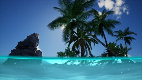 split view cross section of sea water and palm trees on island