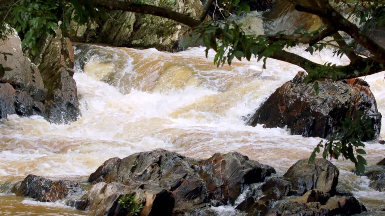 가뭄 동안 비가 내린 후 아마존 열대우림에 범람한 지류