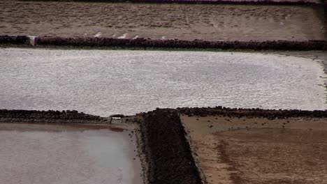 Medium-shot-of-Salinas-de-Janubio,-salt-production-on-Lanzarote,-Canary-Islands,-Spain-1