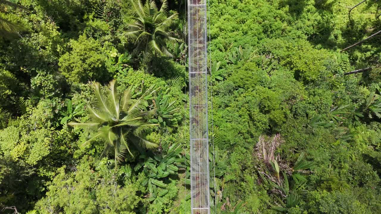 vista de avión no tripulado del puente de cuerda que cuelga sobre el cañón en la selva de filipinas