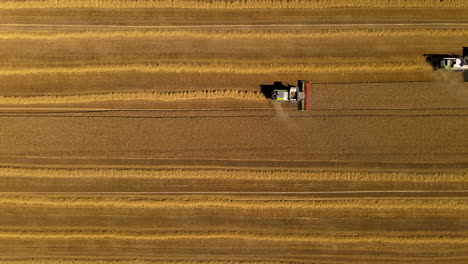 two-modern-combine-working-during-harvesting,-top-down-left-to-right-aerial-footage