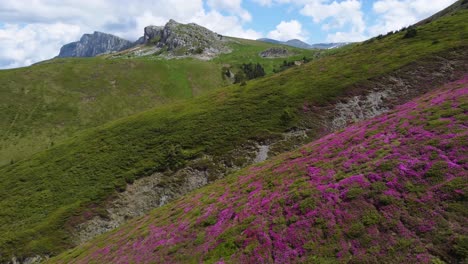 Entdecken-Sie-Die-Atemberaubende-Frühlingslandschaft-Der-Bucegi-Berge-Von-Oben-Mit-Diesen-Faszinierenden-Drohnenaufnahmen