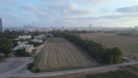 los campos de trigo de la escuela agrícola mikveh israel cerca de holon