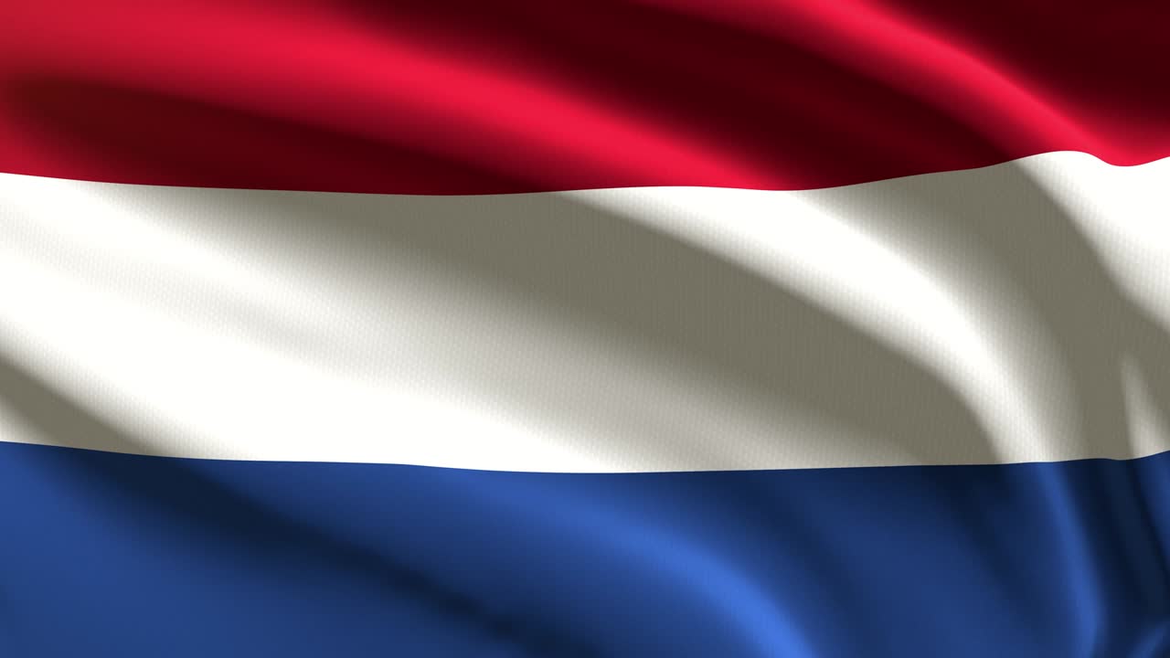 60fps 네덜란드 발은 빨간색, 파란색, 색으로 바람에 흔들리고 있습니다. - 4k uhd 3d 시엄리스 루프 애니메이션