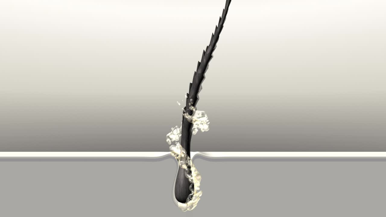 헤어 케어 3d 애니메이션: 갈라진 끝으로 손상 된 머리카락을 먹여 살리십시오.