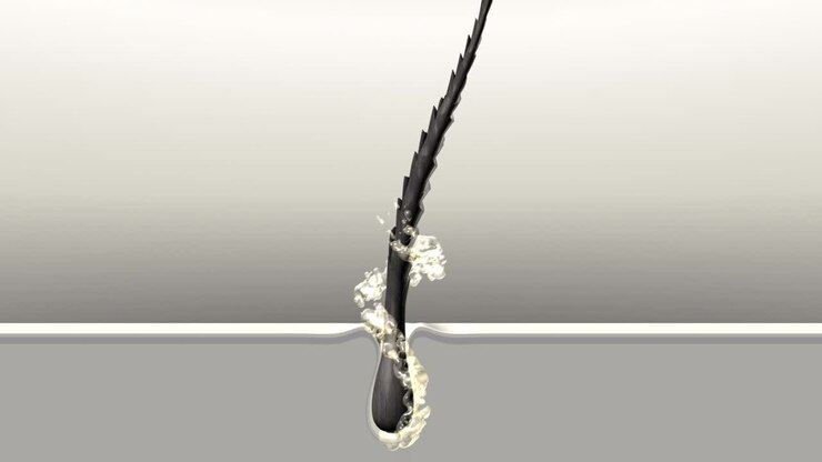 Hair care 3d animation. Nourish the damage hair with split ends.