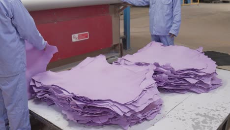 workers processing purple leather hides on a industrial leather roller machine.