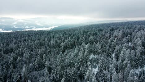 in this cinematic aerial scene, we are looking at the forests near the big bar rest area along the cariboo highway 1 near clinton, bc, canada facing the valley and mountains in the distance