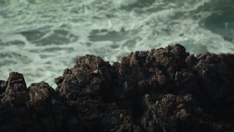 Coastal-cliffs-with-incense-sticks-in-the-middle