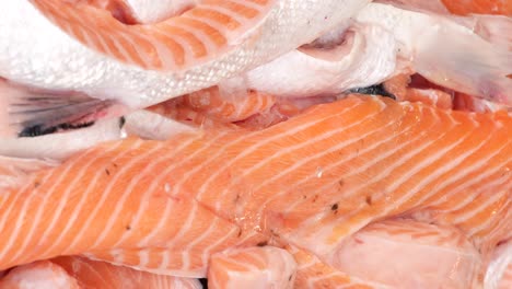 filete de salmón crudo