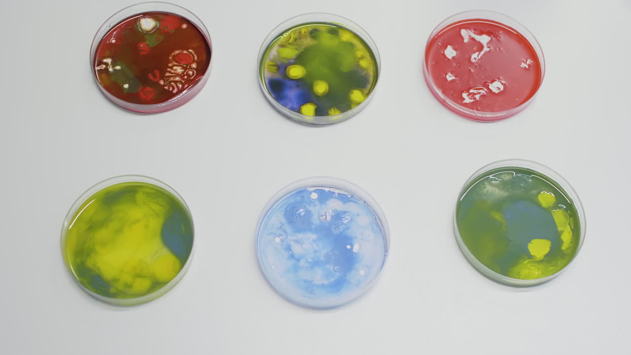 Creative social media tech star reviewing wireless mouse in living room studio