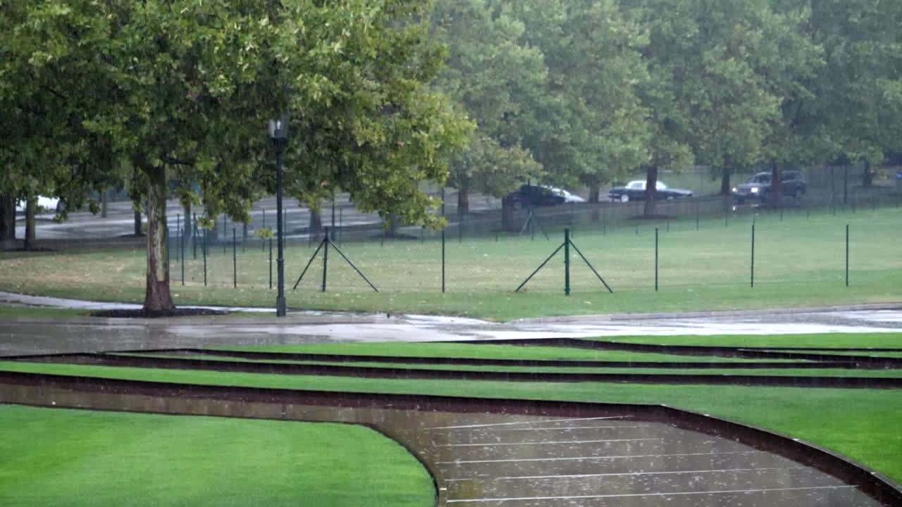 잔디밭에 비가 내리고 있습니다 - 슬로우 모션