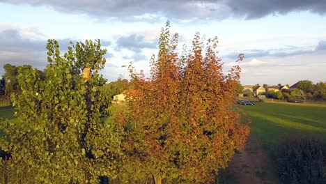 Stunning-aerial-drone-flight-slowly-sinking-down-drone-shot-in-front-of-trees-at-summer-sunset-on-a-lake-at-small-village-in-Brandenburg-Germany-at-golden-hour-Cinematic-nature-view-by-Philipp-Marnitz