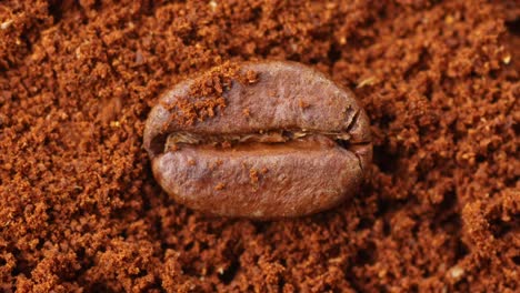 roasted coffee bean on a bed of fine coffee grounds