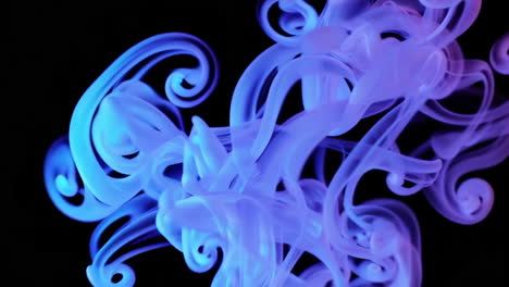 colorful ink flow in motion
