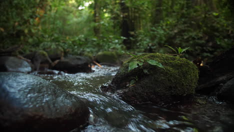 river flowing between srock in amazonian forest. saul french guiana