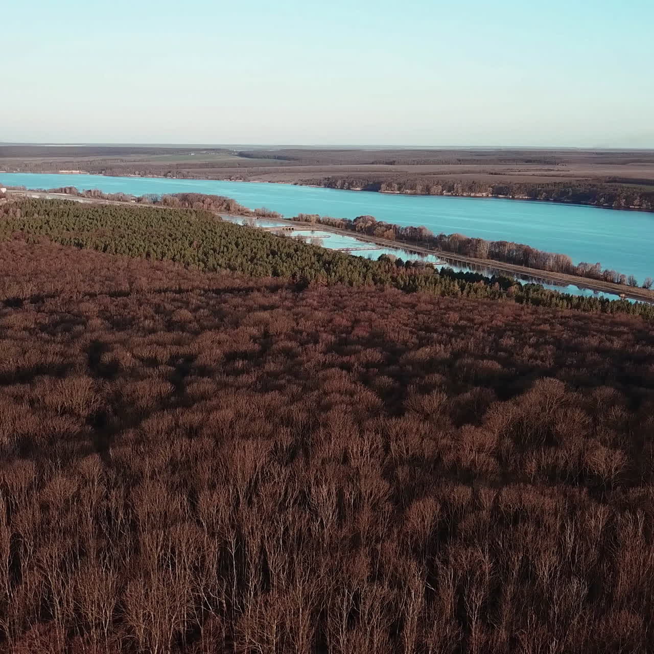 Aerial View. Flying over the beautiful forest trees. Trees without leaves.