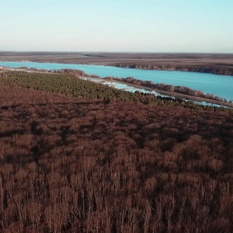 aerial view. flying over the beautiful forest trees. trees without leaves.