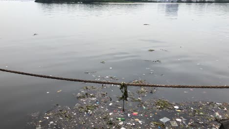 floating plastic and other garbage on the surface of the water in port of rio de janeiro