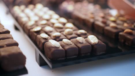 close-up of delicious chocolate squares with almonds