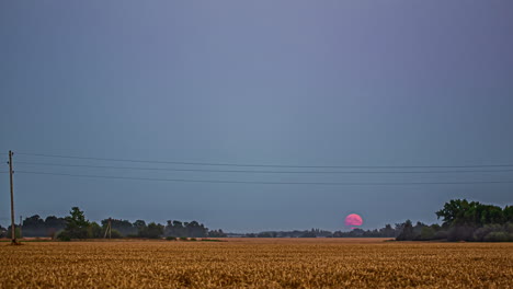 Tiro-De-Lapso-De-Tiempo-De-La-Luna-Llena-Que-Se-Eleva-Sobre-El-Campo-De-Trigo-Marrón-Maduro-Durante-La-Noche