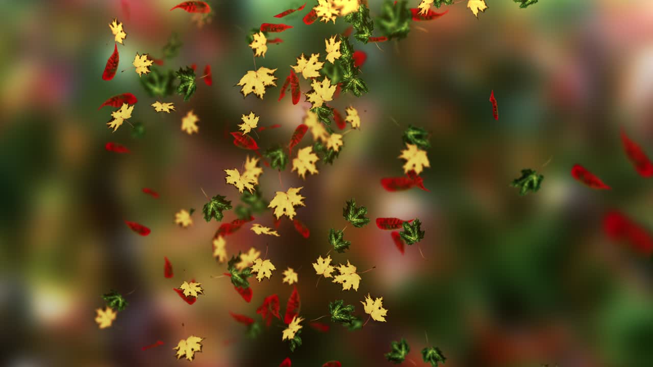 떨어지는 잎의 애니메이션 루프 가을