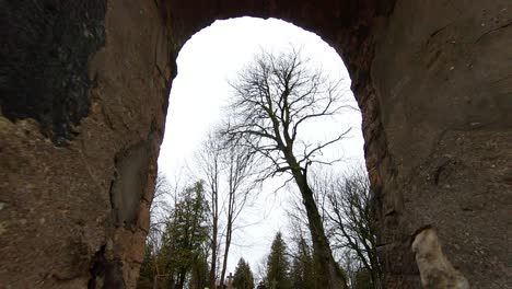 trees without leaves in an old cemetery fenced with stone and brick masonry