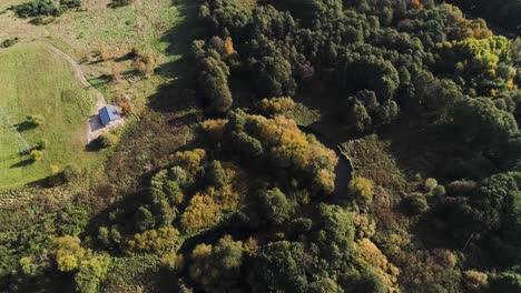 río salvaje cubierto de árboles y arbustos cerca de prados norte de polonia europa