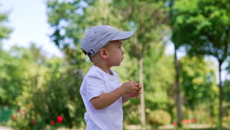 caucasian toddler in white t-shirt puts on the cap. kid comes up to the rose bush growing in the park.