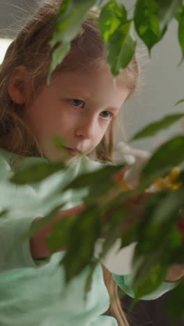 serious little girl washes lush plant leaves spraying water at home closeup slow motion. gardening and plants cultivation. junior kids development